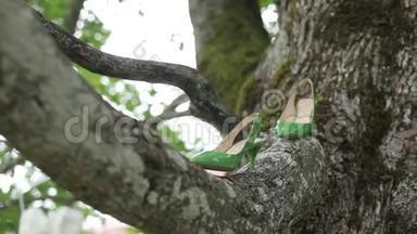 新娘婚礼漂亮的鞋子绿色的鞋子在树上的鞋子豪华的高跟特写镜头